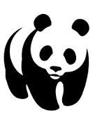 Ana Victoria Andrade